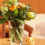 Hotel-restaurant Zum Kirschbaum מלון