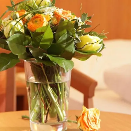 Hotel-restaurant Zum Kirschbaum 호텔