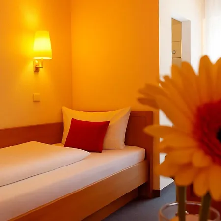 Hotel-restaurant Zum Kirschbaum 호텔 3*