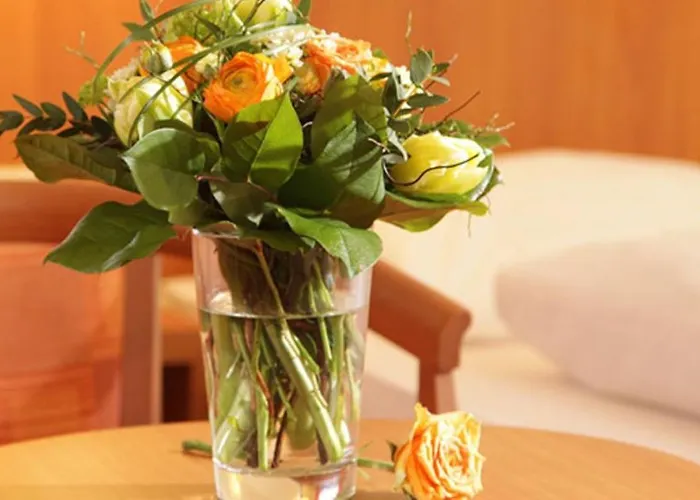 Hotel-restaurant Zum Kirschbaum 호텔