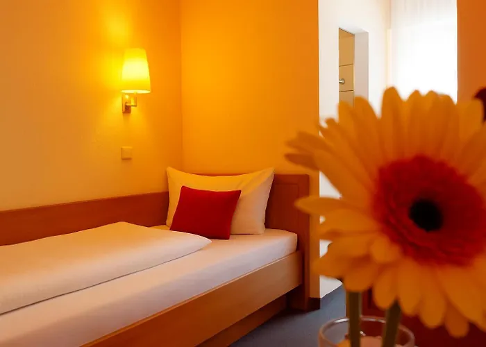 Hotel-restaurant Zum Kirschbaum 호텔 3*