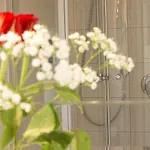 Hotel-restaurant Zum Kirschbaum 3*