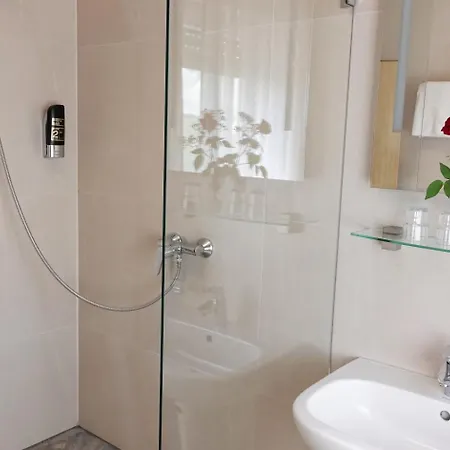 Hotel-restaurant Zum Kirschbaum Hotel 3*