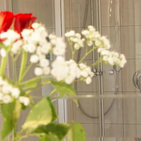 Hotel-restaurant Zum Kirschbaum 3*