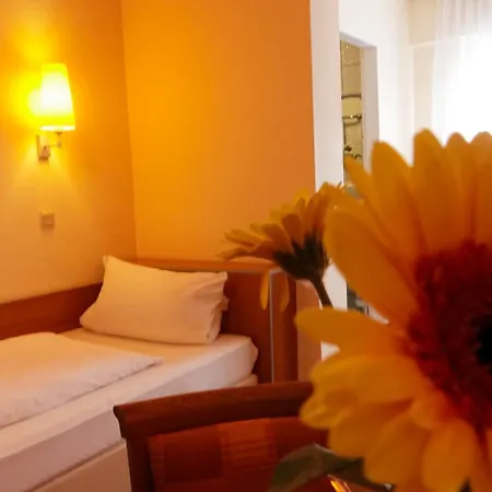 Hotel Hotel-restaurant Zum Kirschbaum 3*
