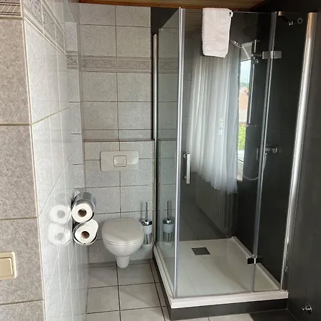Отель Hotel-restaurant Zum Kirschbaum 3*