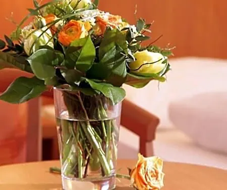 Hotel-restaurant Zum Kirschbaum Отель 3*