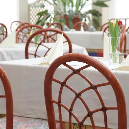 Hotel Hotel-restaurant Zum Kirschbaum