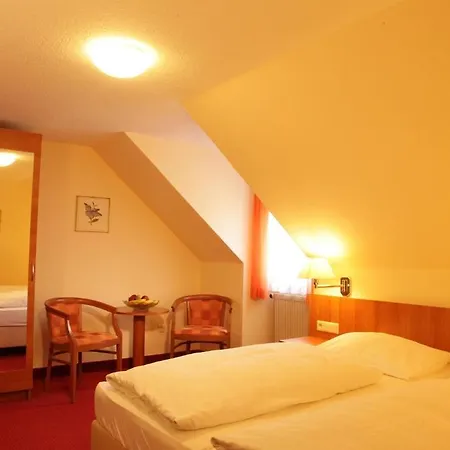 Hotel-restaurant Zum Kirschbaum 3* Rottendorf
